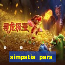 simpatia para ganhar no bingo de cartela